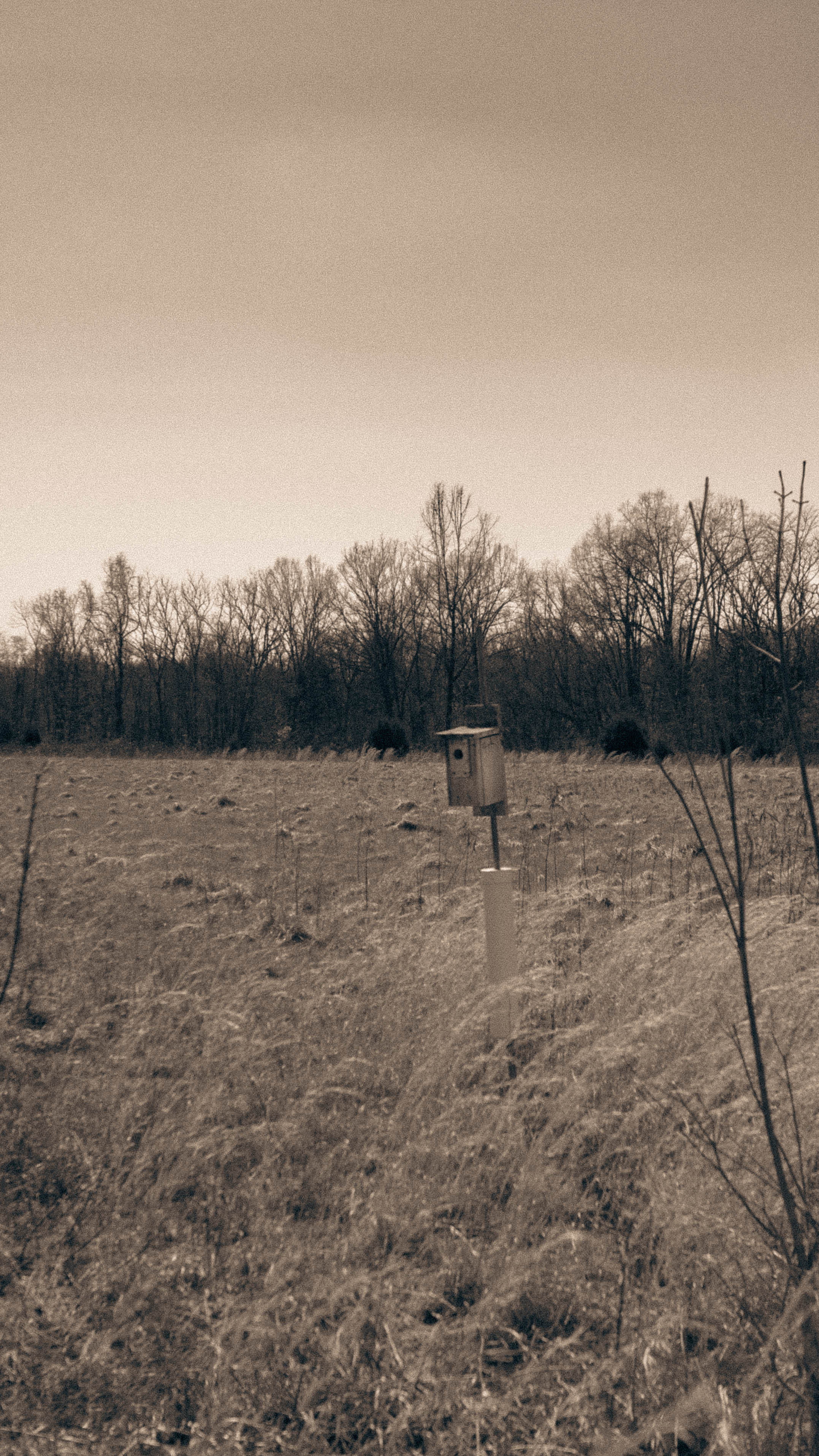 Photograph 09